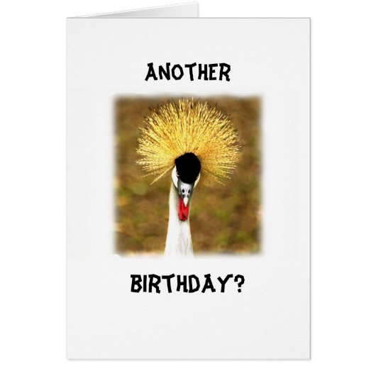 Another Birthday? Card for Senior Citizen (Vorne)