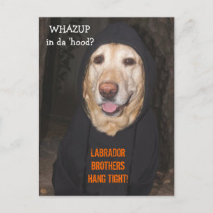 Anpassbar 90 lb. Labrador in Hoodie Postkarte