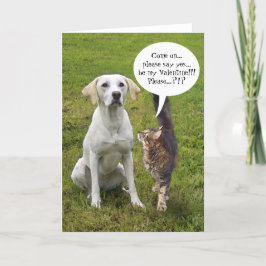 (Anpassbar) Cat & Dog Valentine Feiertagskarte