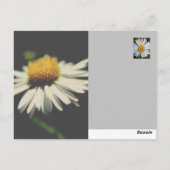 Anpassbar Sei unbesorgt - Blume Power! Postkarte (Rückseite)