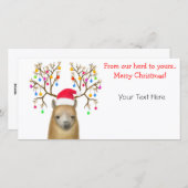 Anpassbare Alpaca Xmas Fotokarte Feiertagskarte (Vorne/Hinten)