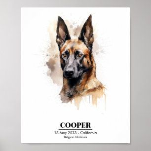 Anpassbare Aquarellbilder von Malinois Poster