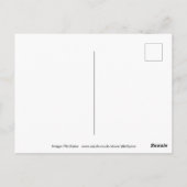 Anpassbare Atacama-Geoglyphen-Postkarte Postkarte (Rückseite)