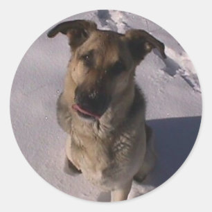 Anpassbare Aufkleber