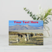 Anpassbare chilenische Schafskarte (Stehend Vorderseite)