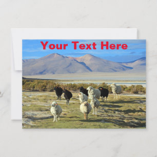 Anpassbare chilenische Schafskarte