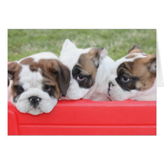 Anpassbare Chipkarte für die Liebe von Welpen