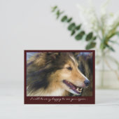 Anpassbare Collie Postkarten (Stehend Vorderseite)