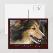 Anpassbare Collie Postkarten (Vorne/Hinten)