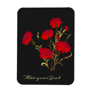 Anpassbare Elegante Vintage Blumenrote Nelke Magnet