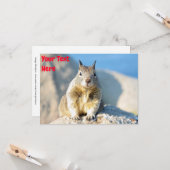 Anpassbare graue Eichhörnchenkarte Karte (Vorderseite/Rückseite Beispiel)