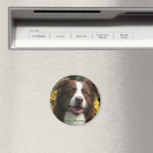 Anpassbare Größe Magnet (In Situ (Geschirrspüler))