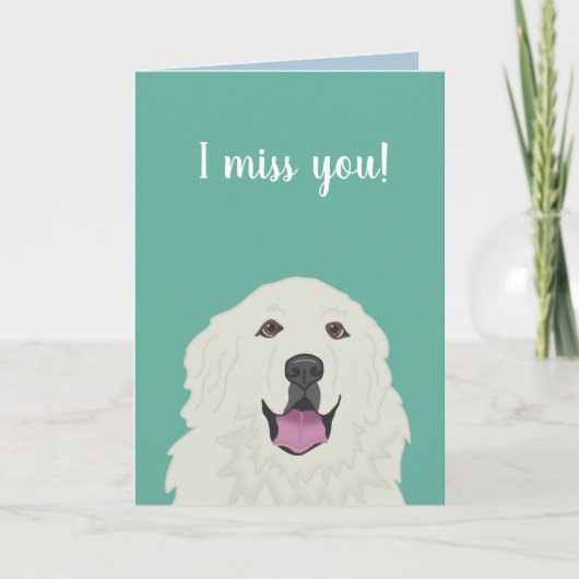 Anpassbare Große Pyrenäen Karte (Vorderseite)