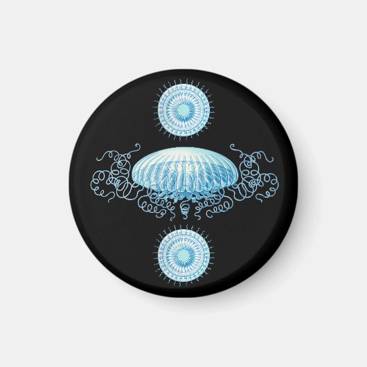 Anpassbare Haeckel Jellyfish Magnet (Vorne)
