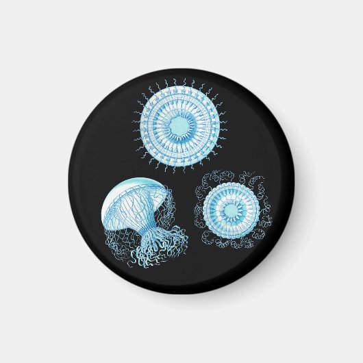 Anpassbare Haeckel Jellyfish Magnet (Vorne)