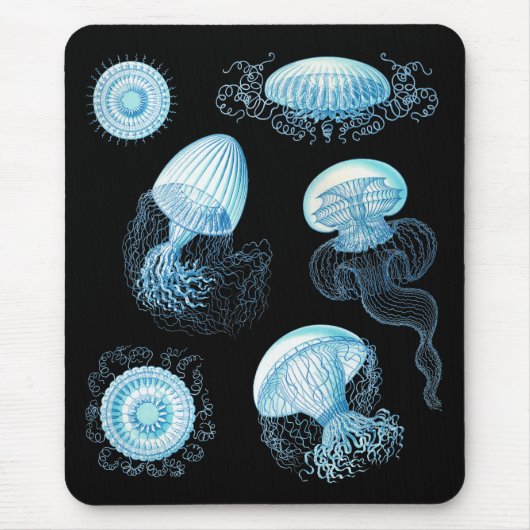 Anpassbare Haeckel Jellyfish Mousepad (Vorne)