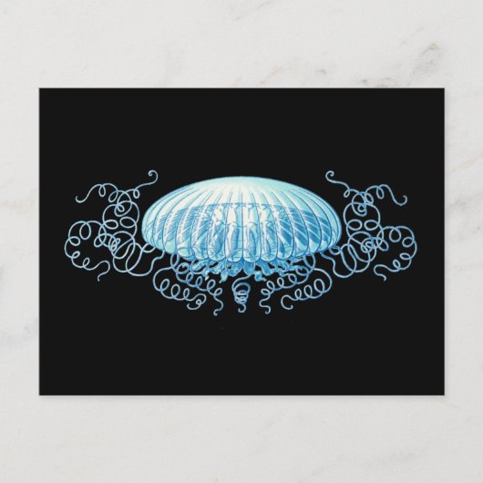 Anpassbare Haeckel Jellyfish Postkarte (Vorderseite)