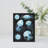 Anpassbare Haeckel Jellyfish Postkarte (Stehend Vorderseite)