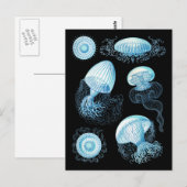 Anpassbare Haeckel Jellyfish Postkarte (Vorne/Hinten)