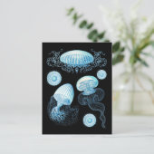 Anpassbare Haeckel Jellyfish Postkarte (Stehend Vorderseite)