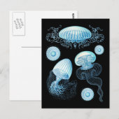 Anpassbare Haeckel Jellyfish Postkarte (Vorne/Hinten)
