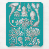 Anpassbare Haeckel Mousepad (Vorne)