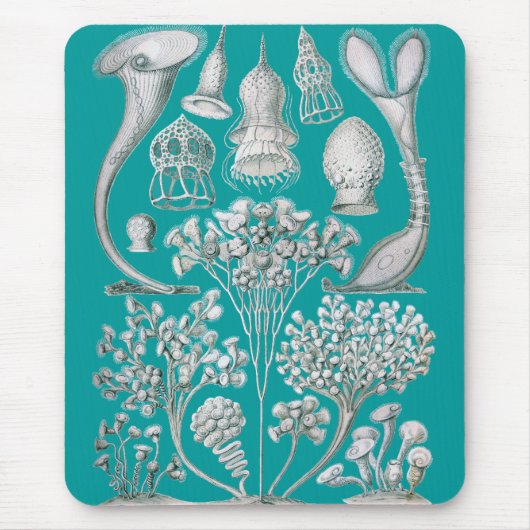 Anpassbare Haeckel Mousepad (Vorne)