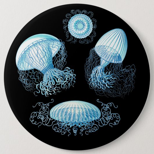 Anpassbare Haeckel Qualle Button (Vorderseite)