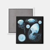 Anpassbare Haeckel Qualle Magnet (Vorderseite/Rückseite)