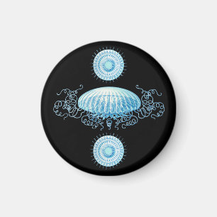 Anpassbare Haeckel Qualle Magnet