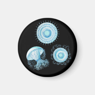 Anpassbare Haeckel Qualle Magnet