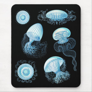 Anpassbare Haeckel Qualle Mousepad