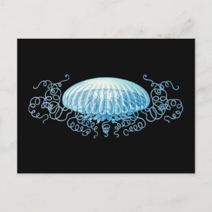 Anpassbare Haeckel Qualle Postkarte