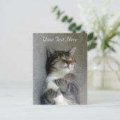 Anpassbare Happy Cat Post Card Postkarte (Stehend Vorderseite)