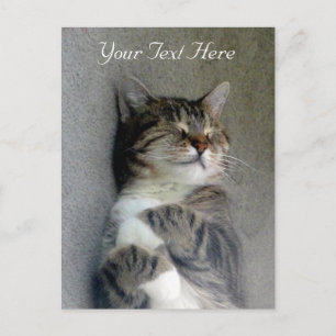 Anpassbare Happy Cat Post Card Postkarte