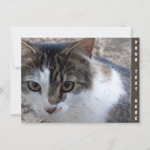Anpassbare Katze am Fenster Karte