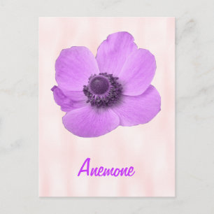 Anpassbare Mädchenhafte Rosa Anemone Postkarte