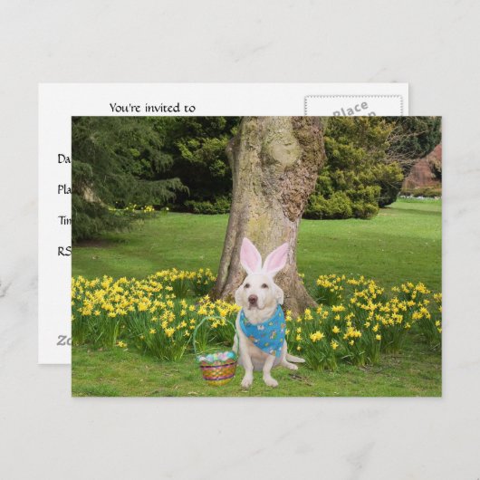 Anpassbare Ostereierjagd Einladungspostkarte (Vorne/Hinten)