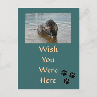 Anpassbare Postkarte