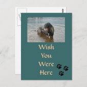 Anpassbare Postkarte (Vorne/Hinten)