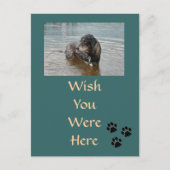 Anpassbare Postkarte (Vorderseite)