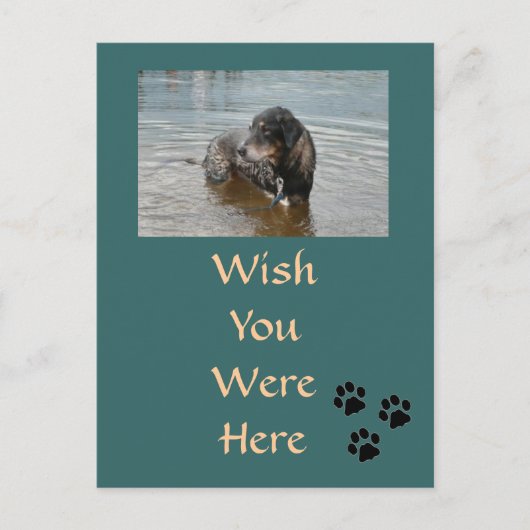 Anpassbare Postkarte (Vorderseite)