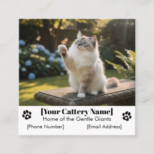 Anpassbare Ragdoll-Katzenzucht Visitenkarte
