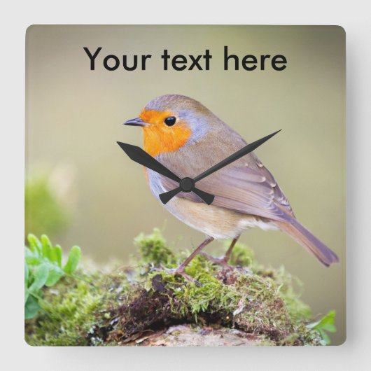 Anpassbare Robin-Uhr fügt Ihren eigenen Text hinzu Quadratische Wanduhr (Vorderseite)