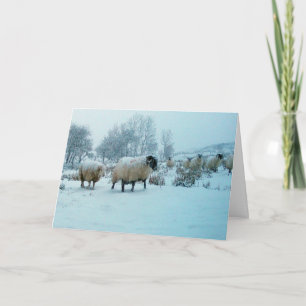 Anpassbare Schafe im Winter Schnee Schottland Karte