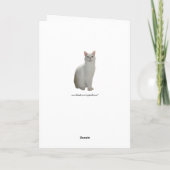 Anpassbare, sonnige Katze mit Spiegelbild Karte (Rückseite)