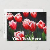 Anpassbare Tulpenkarte (Vorne/Hinten)