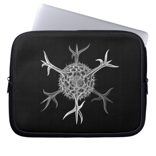 Anpassbare Vintage Haeckel Laptopschutzhülle (Vorderseite)