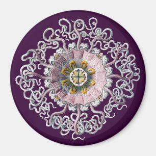 Anpassbare Vintage Haeckel Magnet