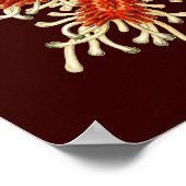 Anpassbare Vintage Haeckel Poster (Ecke)